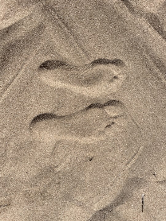 Strand Shams Prestige Abu Soma-Adults Only