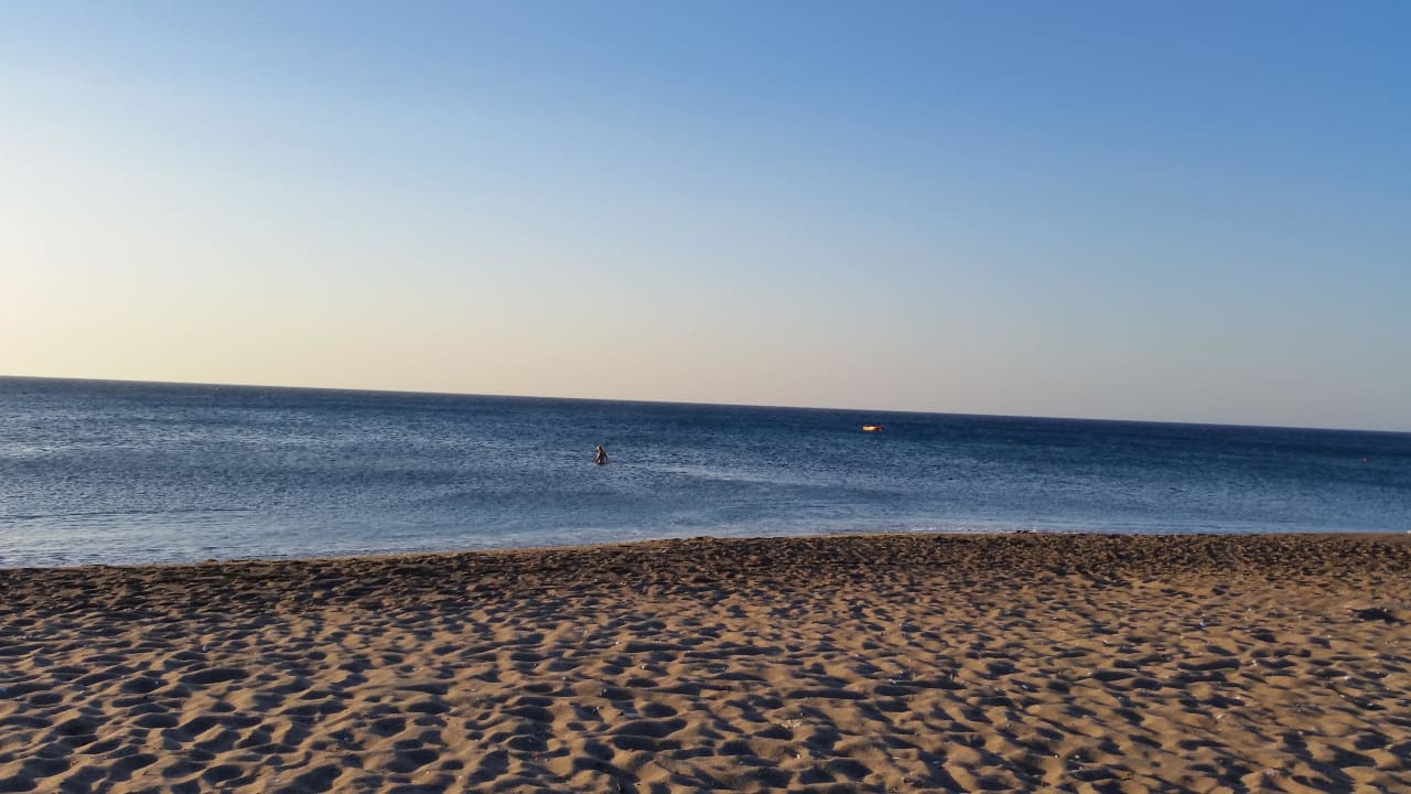 Perfekt Hotel Calypso Beach