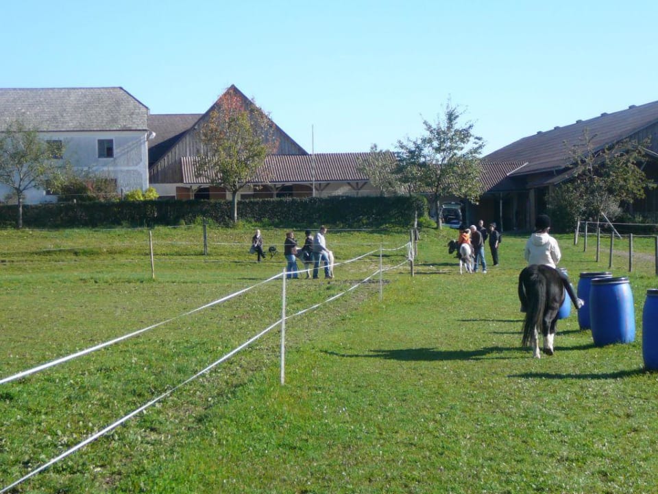 Am Reiterhof Hotel Reiterhof Pichler und Nebenhäuser