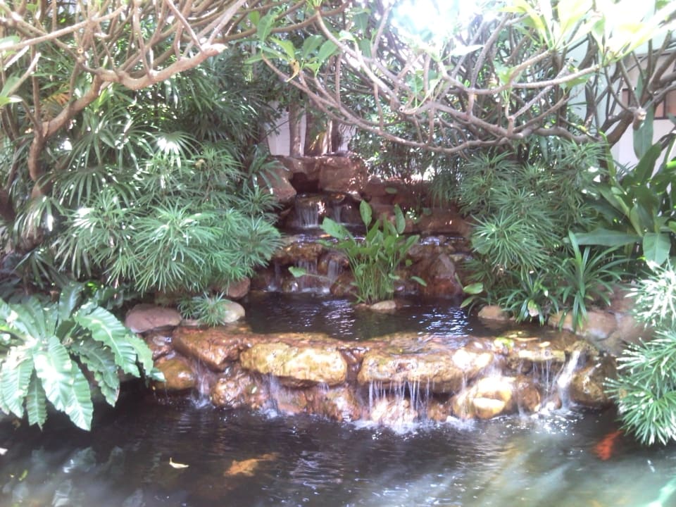 So einladend ist die Lobby Woodlands Hotel & Resort