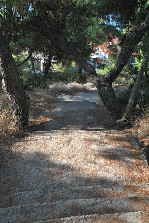 Weg zum Strand Philoxenia Hotel