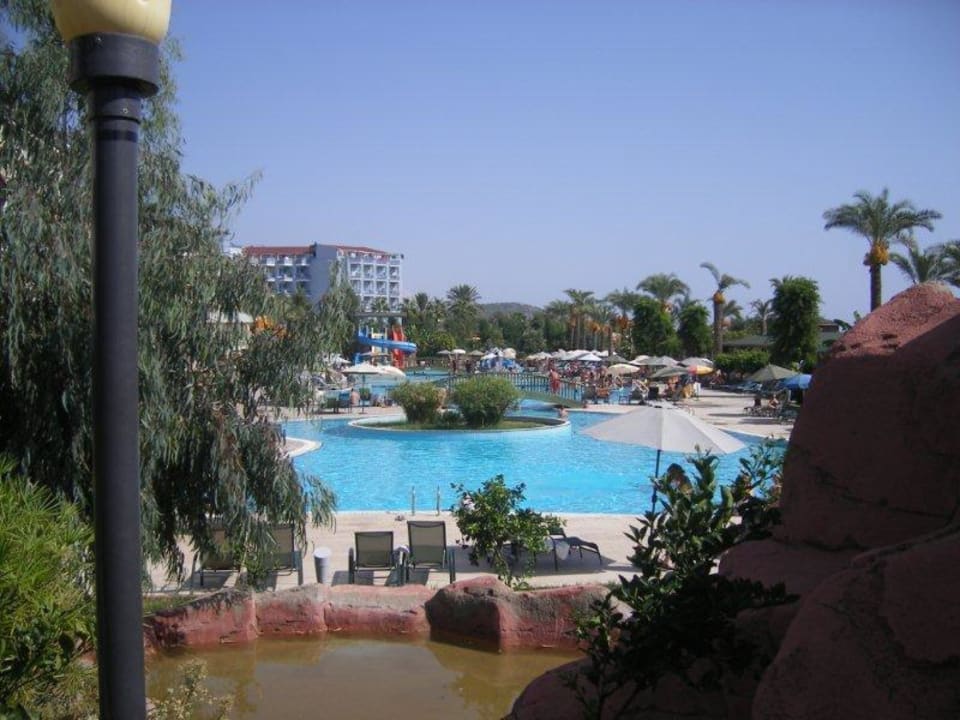 Pool MC Arancia Resort