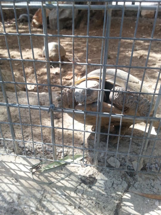 Zółwie Royal & Imperial Belvedere Resort