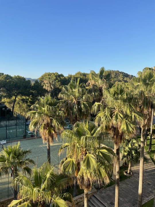 Ausblick allsun Hotel Bella Paguera