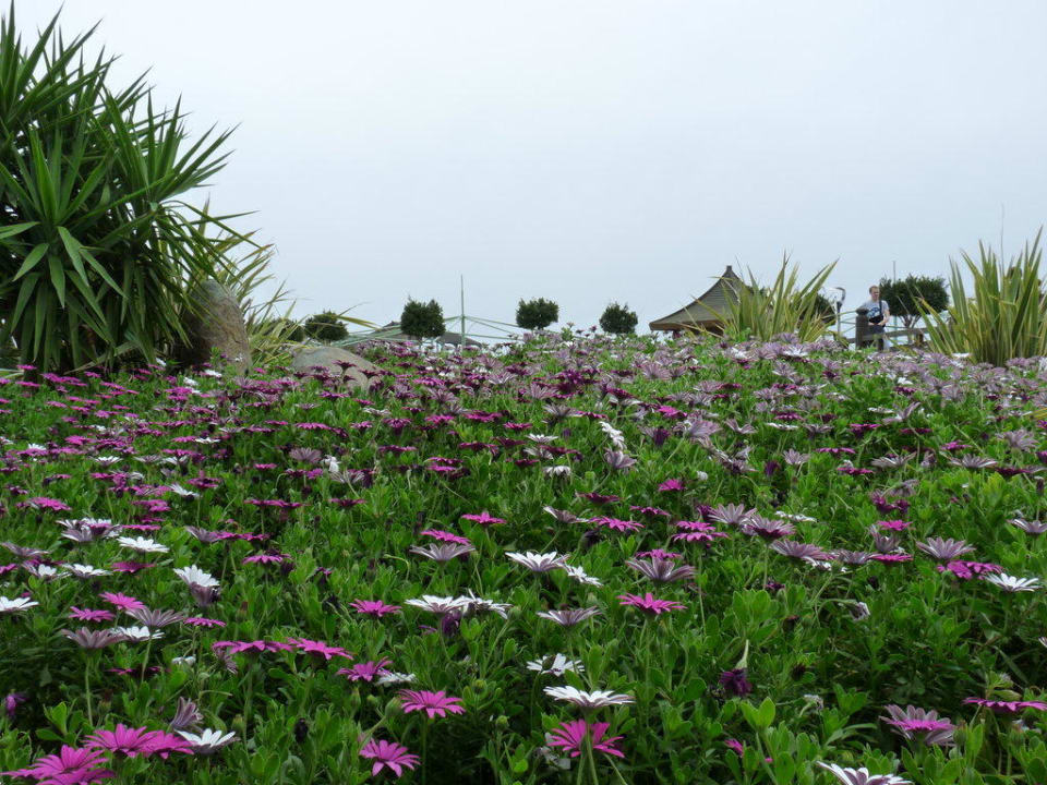 Gartenanlage Limak Lara Deluxe Hotel & Resort