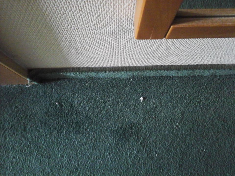 Schmutz Danubius Hotel Annabella