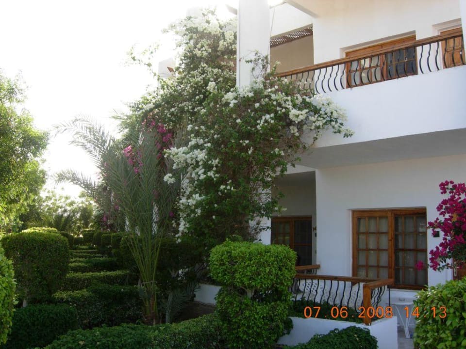 Hotel Menaville Safaga