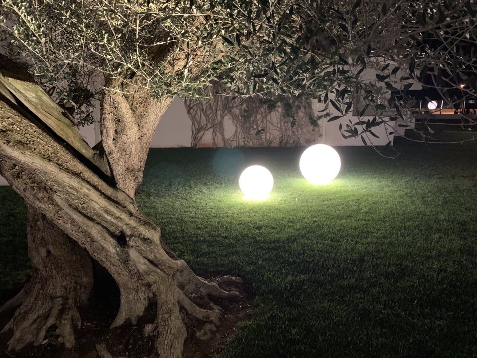 Gartenanlage Hipotels Mediterraneo Club