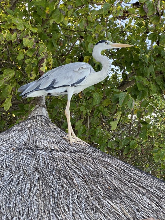 Sonstiges NH Collection Maldives Reethi Resort