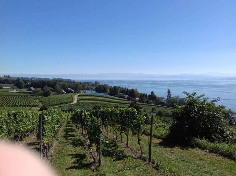 Ausblick Gesundheitsbewusster Urlaubshof Steffelin
