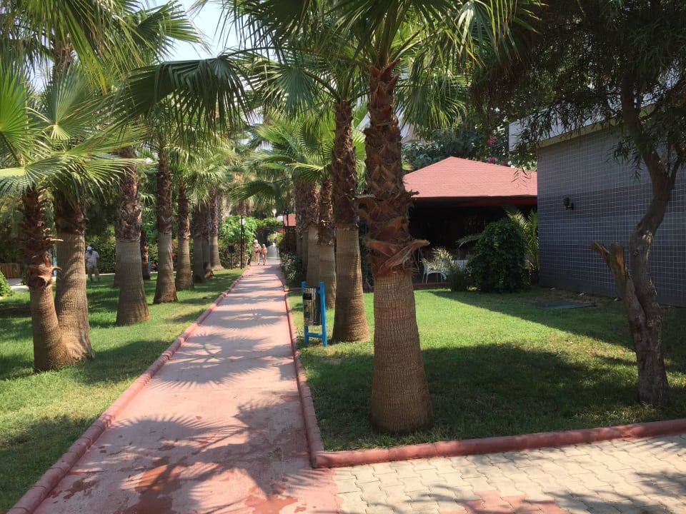Weg zum Strand Hotel Royal Garden Beach