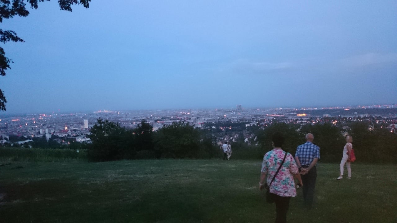 Blick auf Wien Austria Trend Hotel Schloss Wilhelminenberg