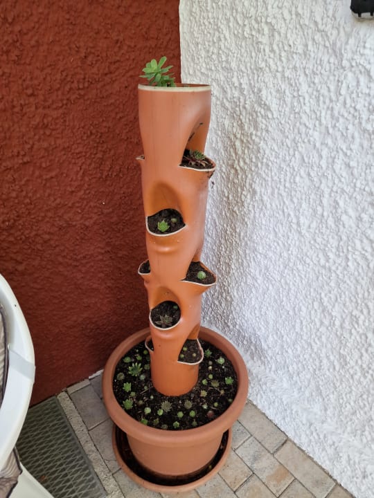 Sonstiges Ferienwohnung Bichler