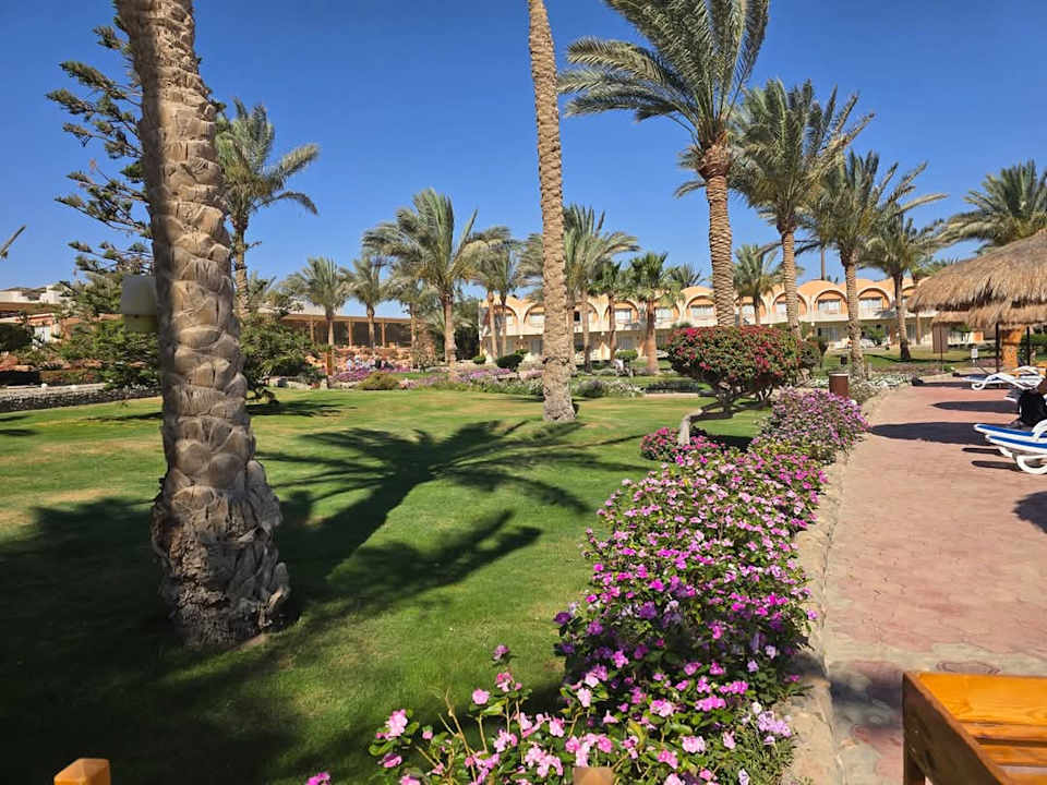 Gartenanlage Three Corners Sea Beach Resort