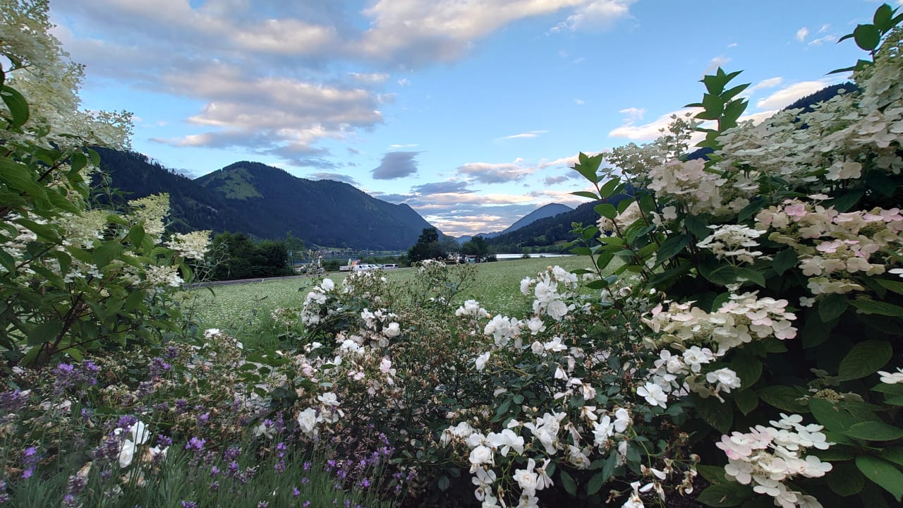 Ausblick Hotel Das Leonhard - Naturparkhotel am Weissensee