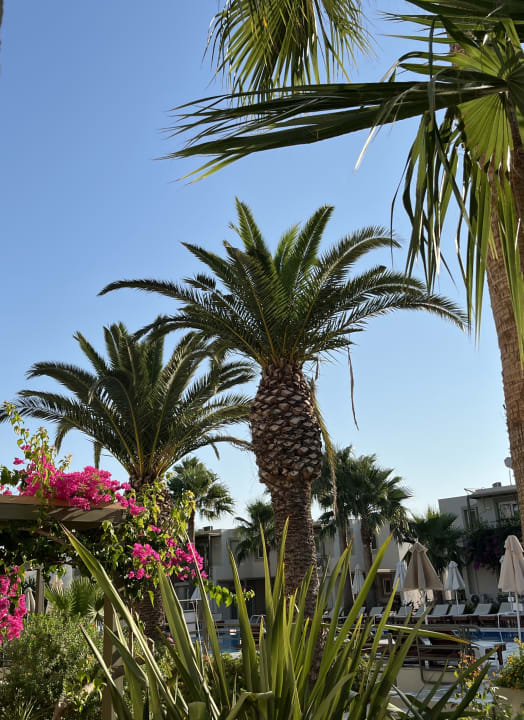 Gartenanlage HARPIN Georgioupolis Resort Aquapark & SPA