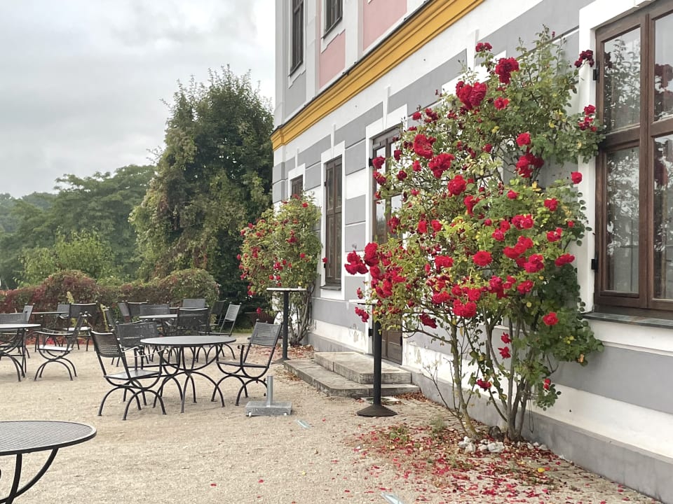 Gastro Hotel Schloss Leitheim