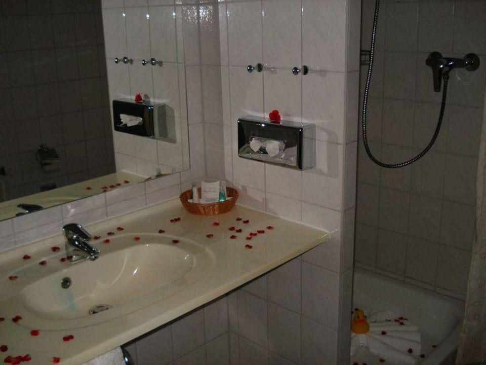 Badezimmer Alter Landsitz