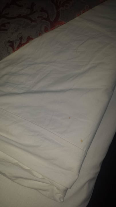 Bettlaken - nach der Reinigung! Odessos Park Hotel