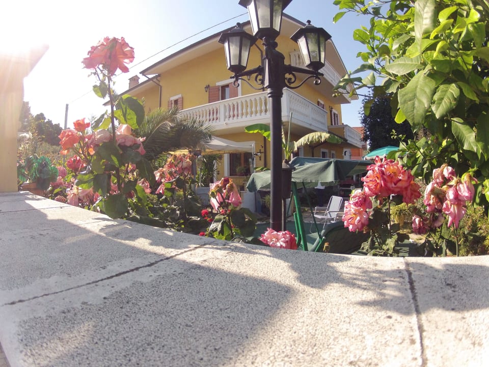 Esterno b&b mariposa B&B Mariposa