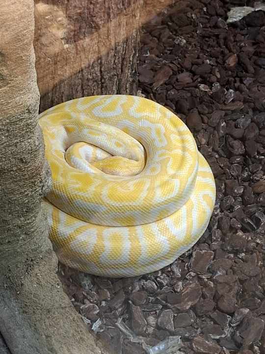 Sonstiges Ferienwohnungen Ferienpark Weissenhäuser Strand