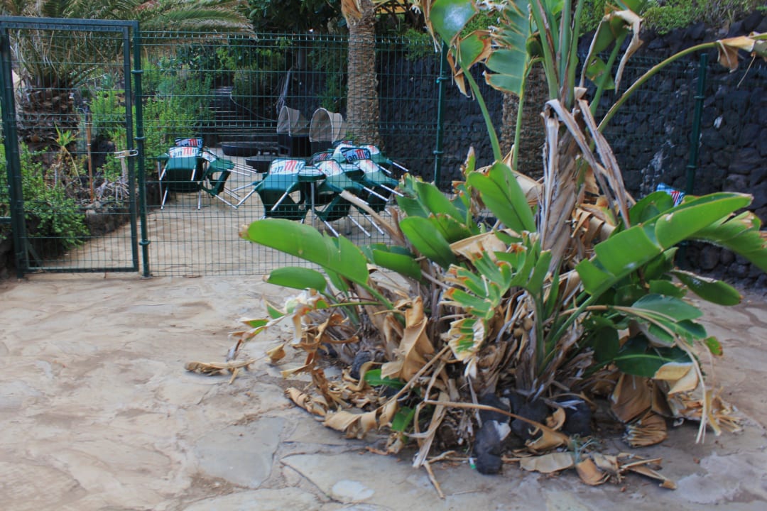 Сад Hotel Catalonia Punta del Rey