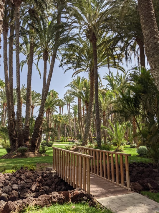 Gartenanlage Hotel Riu Palace Oasis