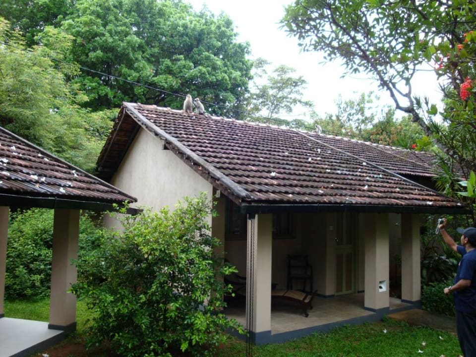 Bungalow Sigiriya Village