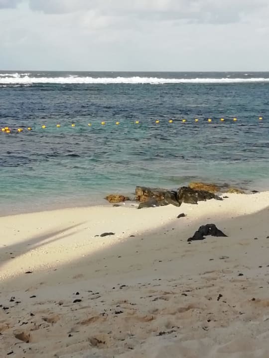 Strand Radisson Blu Poste Lafayette Resort & Spa - Adults only