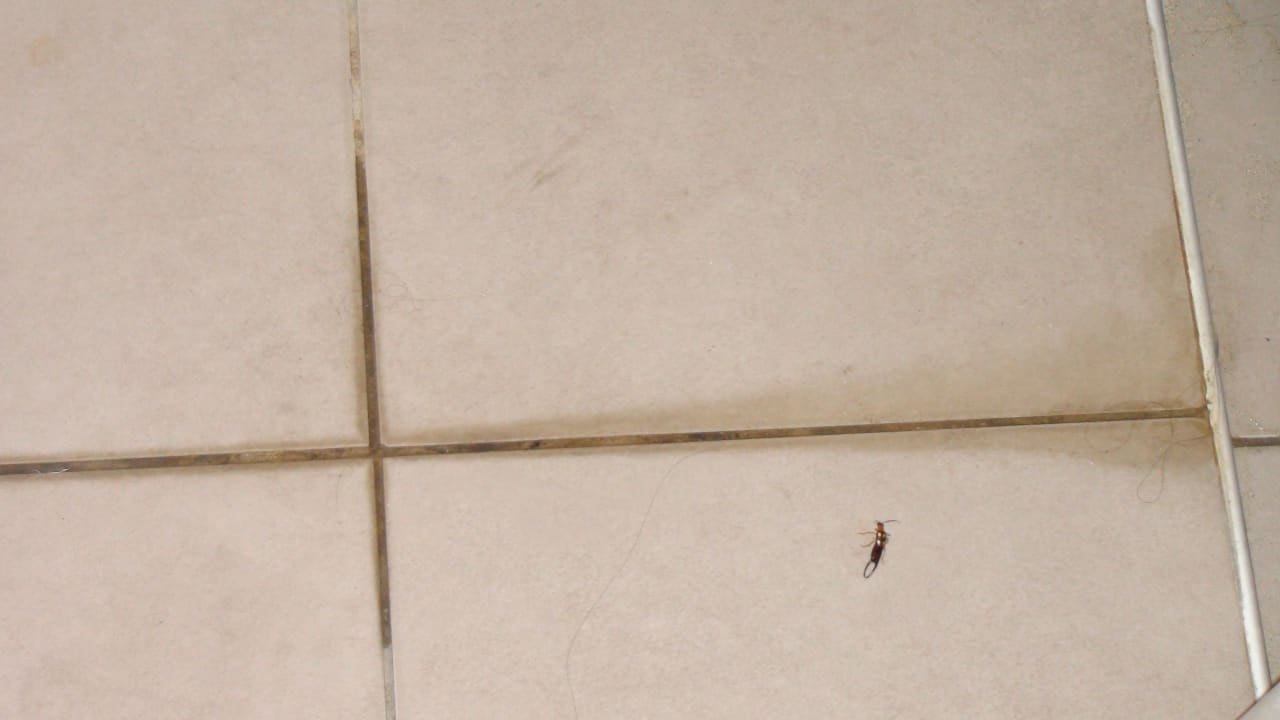 Sonstiges Hotel Pine Bay Holiday Resort