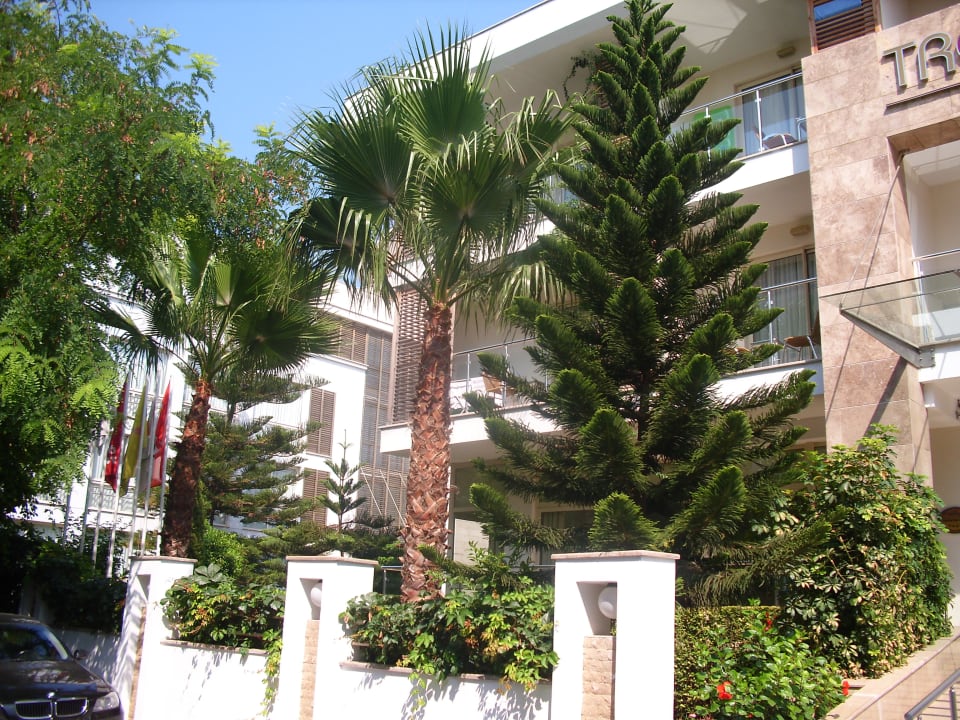 Linke Seite Hotel Trendy Side Beach Hotel - Adults only