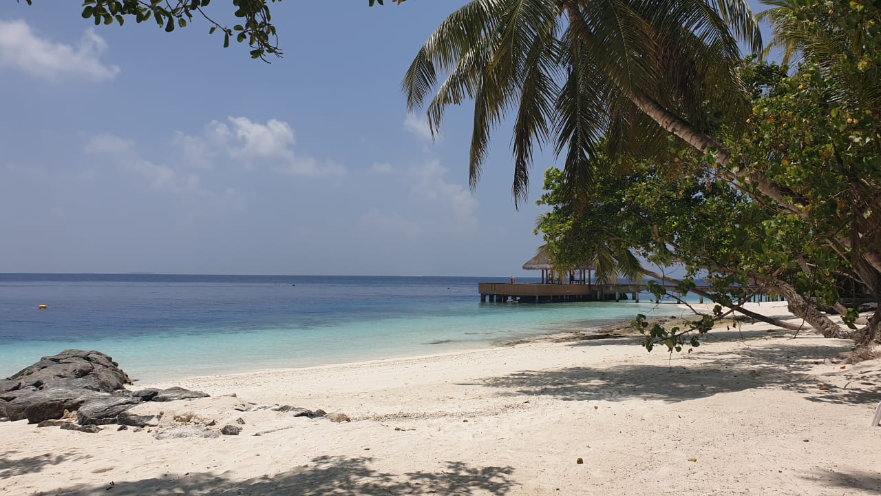 Strand Fihalhohi Maldives