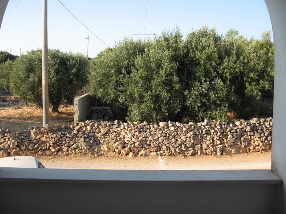 "Toller Ausblick" vom Balkon Hotel Montecallini
