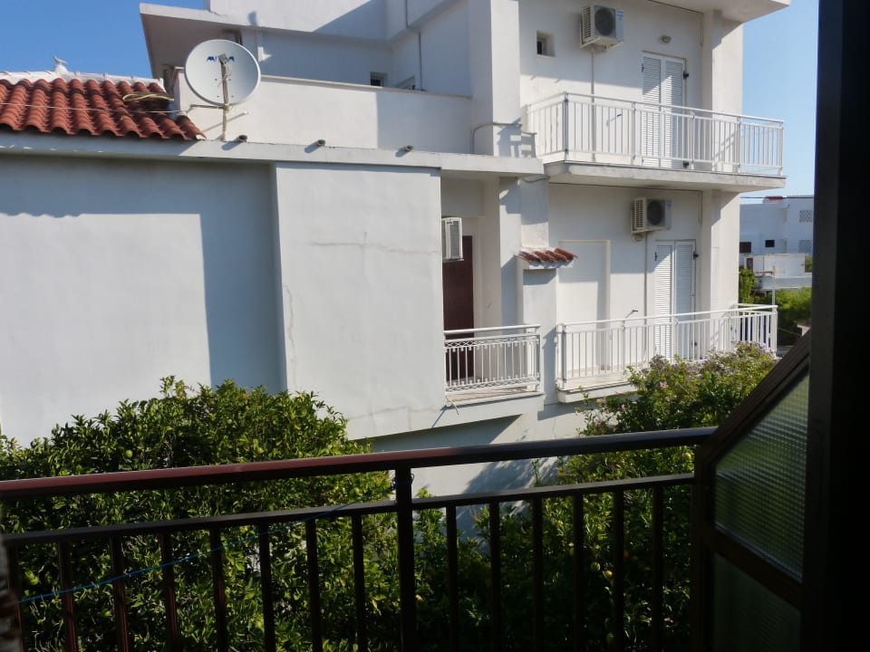 Blick in den Garten Hotel Golden Sun