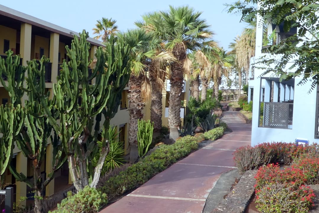 Gastro Occidental Jandía Playa