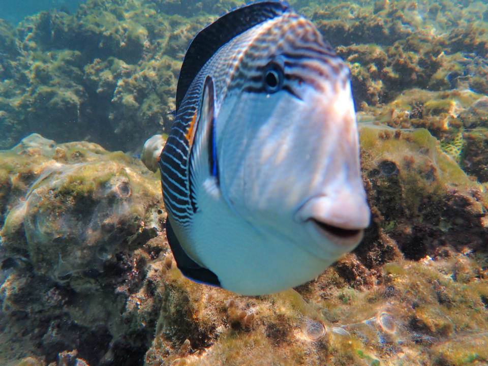 Strand Stella Beach Resort & Spa Makadi Bay