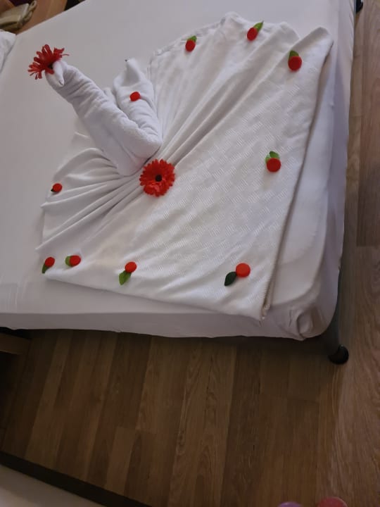 Zimmer Telatiye Resort