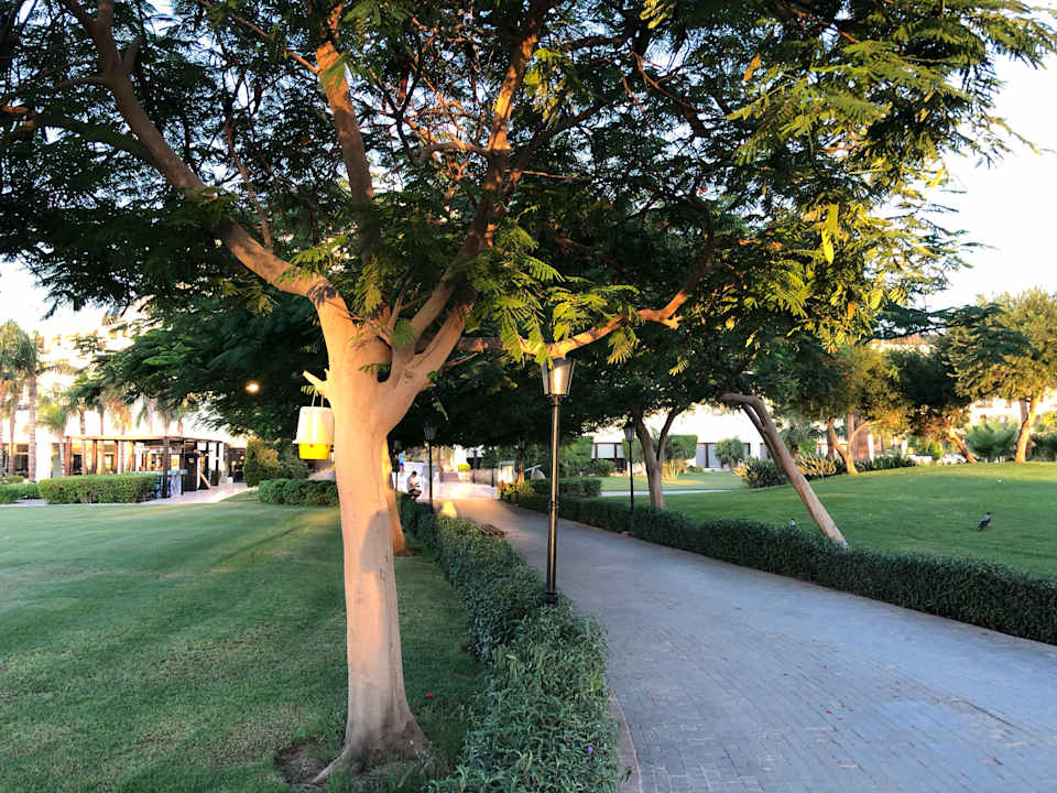 Gartenanlage Steigenberger ALDAU Beach Hotel