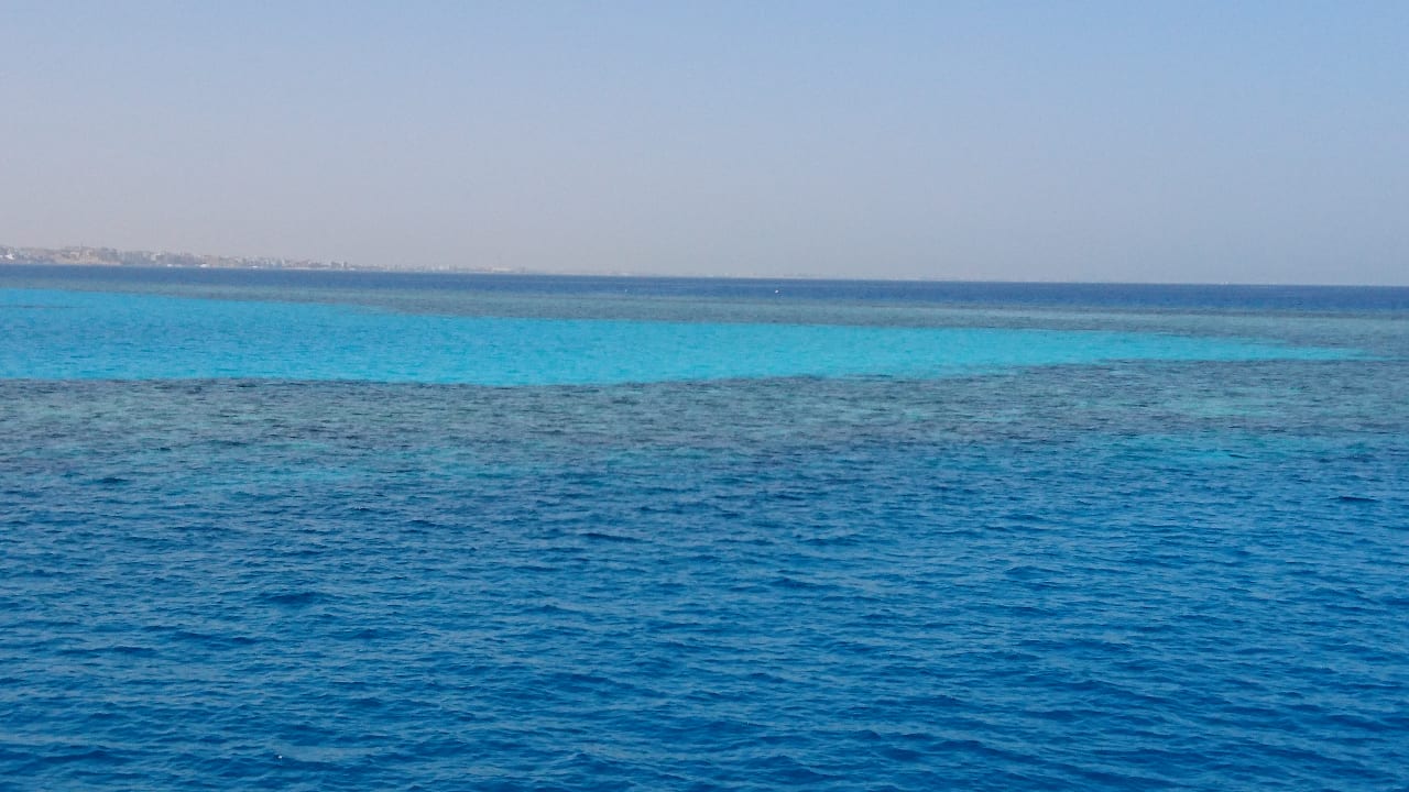 Ausblick Pickalbatros White Beach Resort - Hurghada