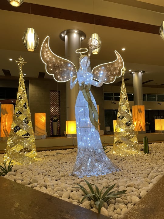 Lobby Hotel Riu Playacar