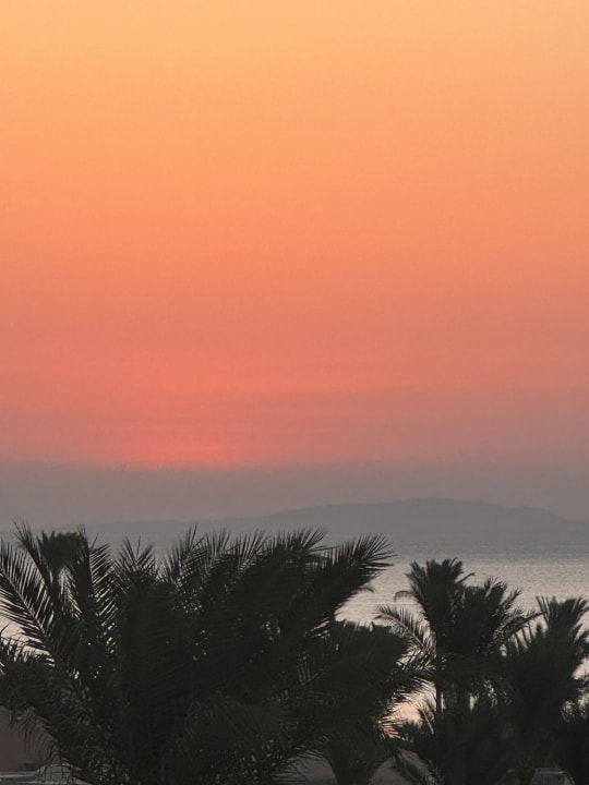 Ausblick Steigenberger Aqua Magic