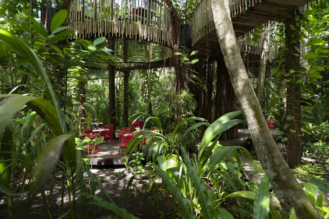 Gastro Niyama Private Islands Maldives