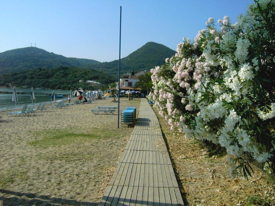 Romantische Wege entlang am Strand Sentido Apollo Palace