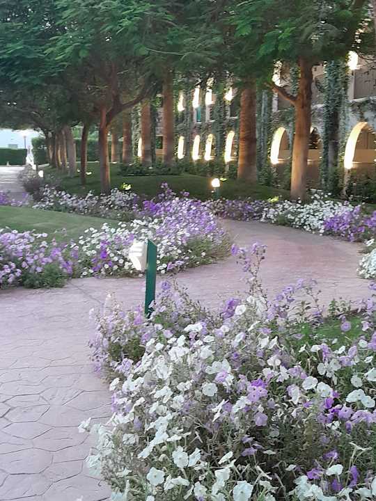 Gartenanlage Desert Rose