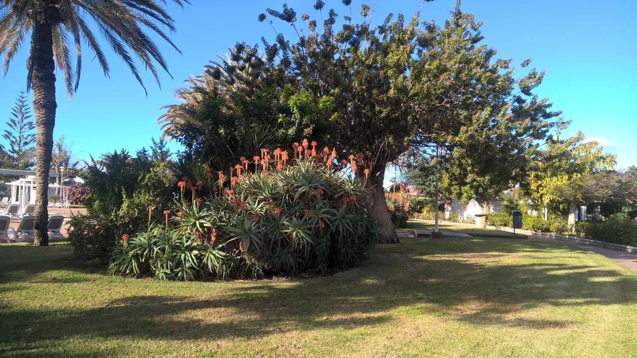 Gartenanlage Bungalows Cordial Sandy Golf