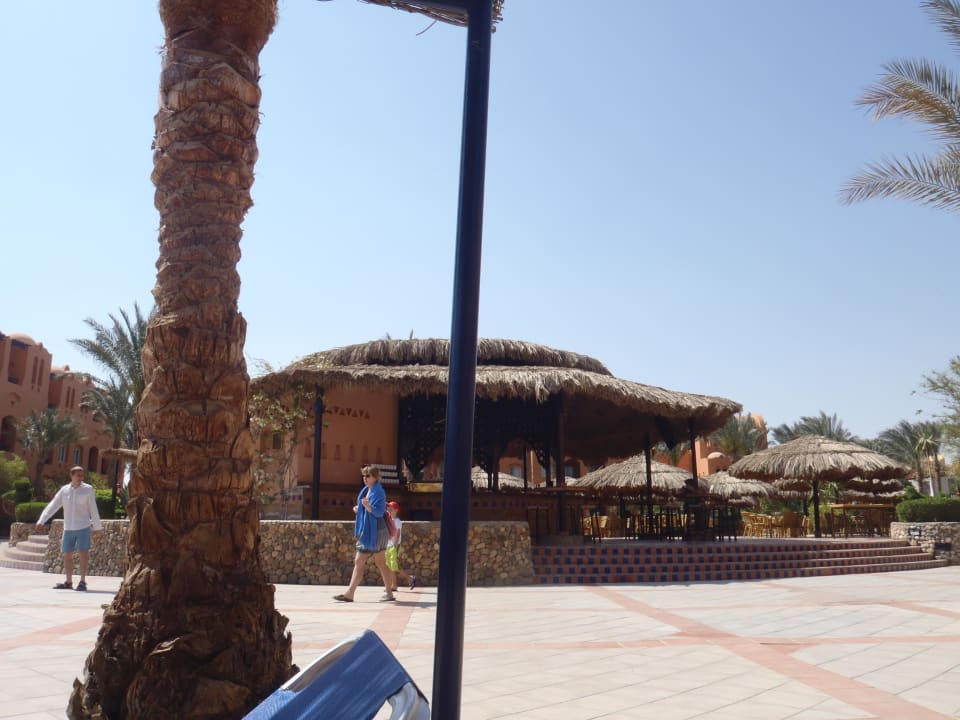 Poolterrasse Jaz Makadi Oasis Resort