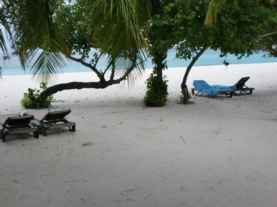 Traumausblick Kuredu Island Resort & Spa