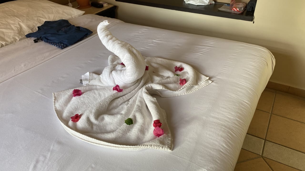 Zimmer Steigenberger Coraya Beach - Adults only