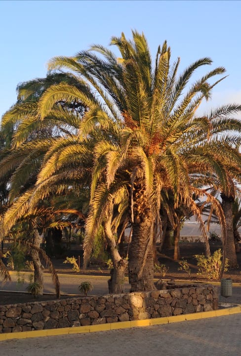 Außenansicht Hipotels La Geria