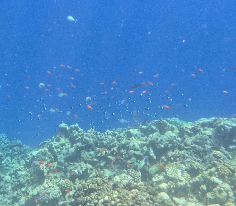 Sport & Freizeit Three Corners Happy Life Beach Resort